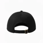 250th Anniversary Baseball Cap